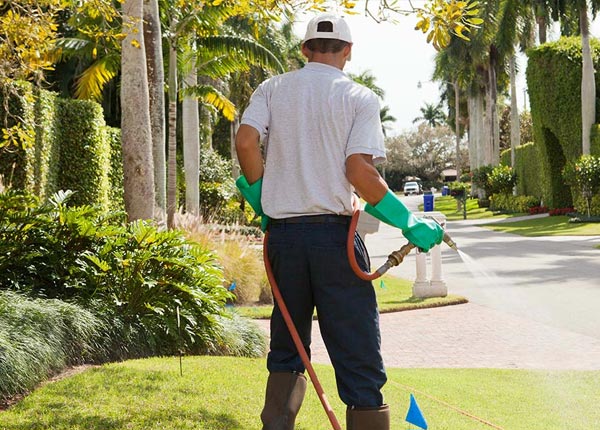 About Glendale RI Pest Control Pros
